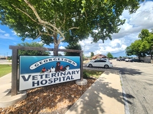 Georgetown Veterinary Hospital