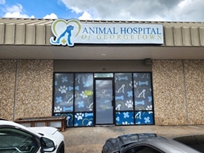 Animal Hospital of Georgetown