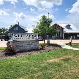 Whitestone Animal Hospital