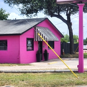 Bark Avenue Grooming and Boarding