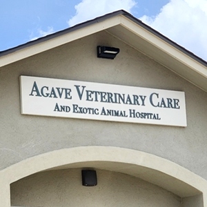 Agave Vet Care  Exotic Animal Hospital