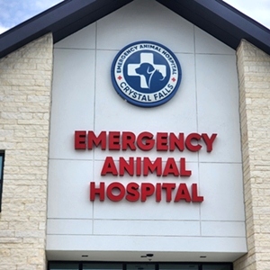 Emergency Animal Hospital of Crystal Falls