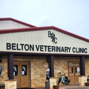 Belton Veterinary Clinic