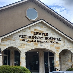 Temple Veterinary Hospital Medical and Surgical Center