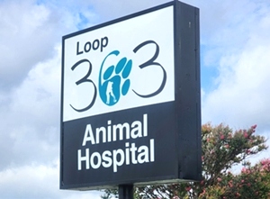 Loop 363 Animal Hospital