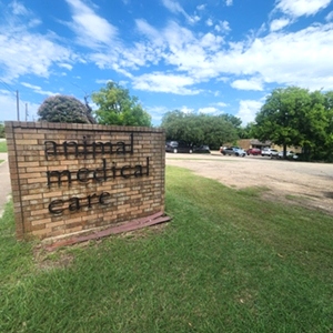 Animal Medical Care - Temple