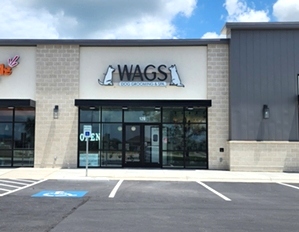 Wags Pet Spa  Mobile Grooming