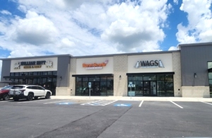 Wags Pet Spa  Mobile Grooming