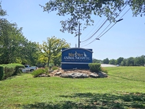 BEEVET Animal Hospital