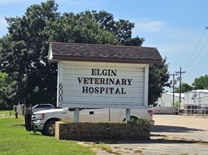 Elgin Veterinary Hospital, A Thrive Pet Healthcare Partner