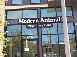 Modern Animal