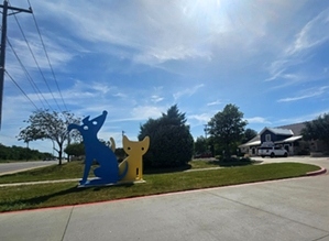 Sage Veterinary Imaging - Round Rock