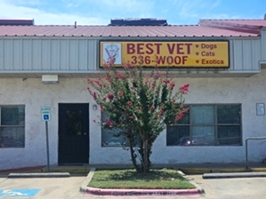 Best Vet