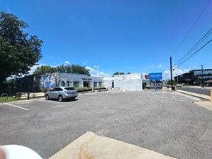 Modern Animal -Austin