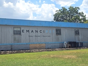 Emancipet - East Austin