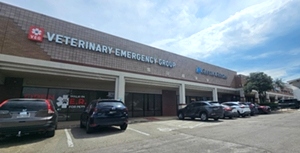 Veterinary Emergency Group