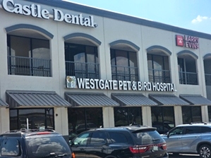 Westgate Pet  Bird Hospital