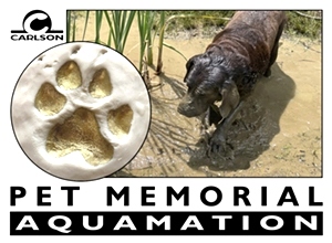 Pet Aquamation 101 Pounds to 125 Pounds