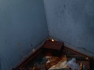 Paws In Paradise Central Texas Pet Cremation