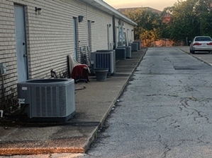 Paws In Paradise Central Texas Pet Cremation