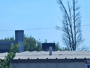 Affordable Burial  Cremation Service