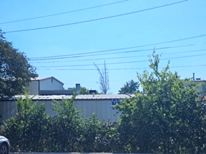 Affordable Burial  Cremation Service