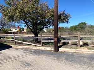 Deep Roots Animal Clinic